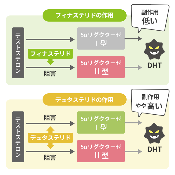 フィナステリドとデュタステリドの作用と副作用の程度