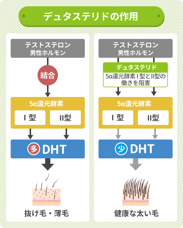 デュタステリドには5α還元酵素のⅠ型とII型どちらの働きをも阻害し健康な太い毛に育てる効果がある